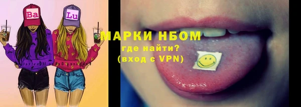 прущие грибы Вязьма