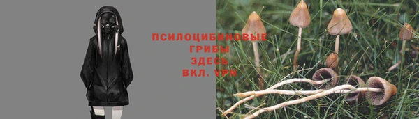 дживик Вяземский
