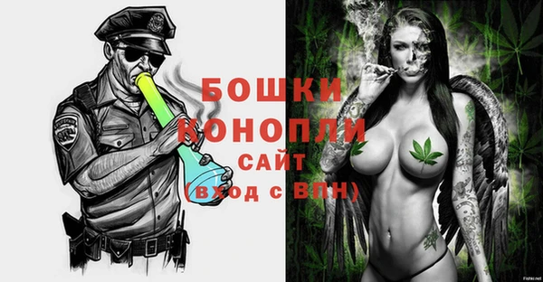 шишки Гусиноозёрск