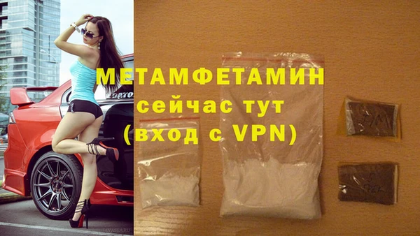 шишки Гусиноозёрск
