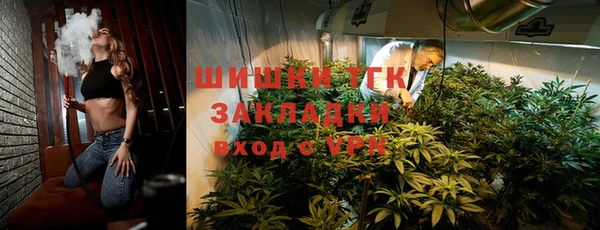 шишки Гусиноозёрск