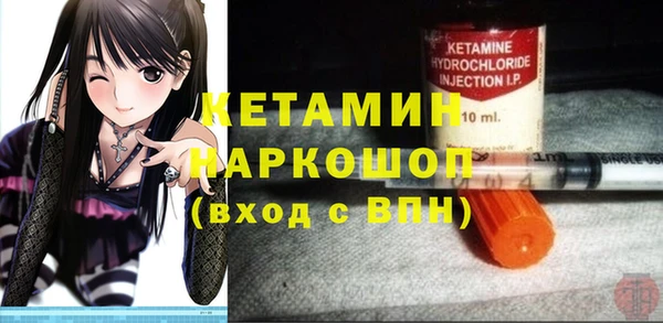 шишки Гусиноозёрск
