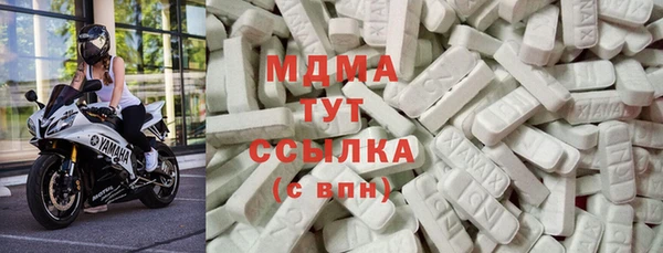 прущие грибы Вязьма