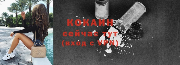 прущие грибы Вязьма