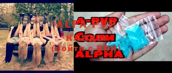 шишки Гусиноозёрск