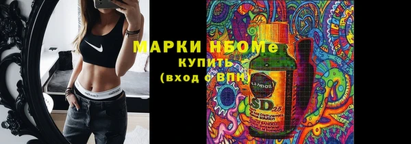 шишки Гусиноозёрск