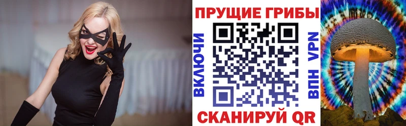 как найти закладки  Духовщина  Галлюциногенные грибы Cubensis 